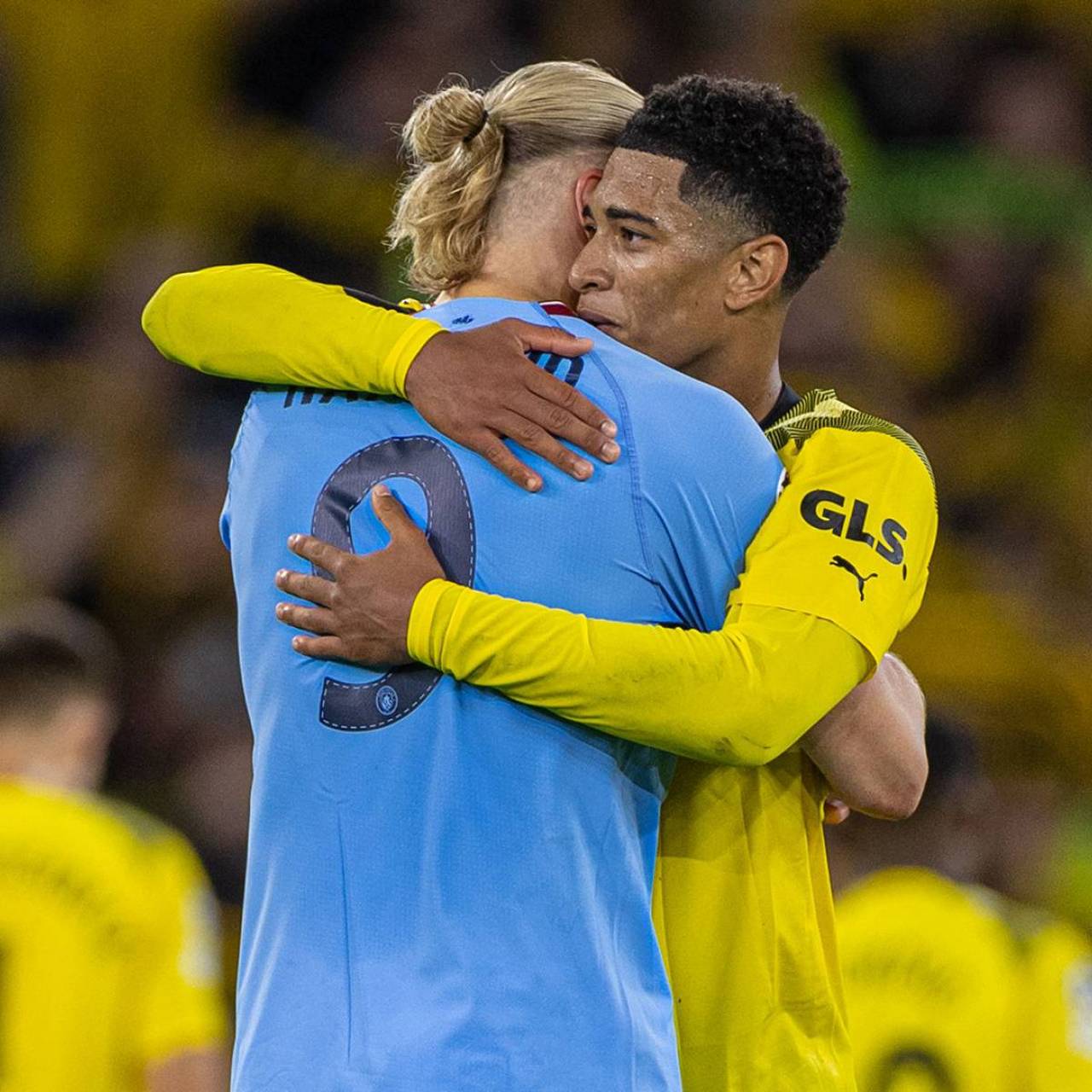 藏与拓宽配 藏与拓宽配